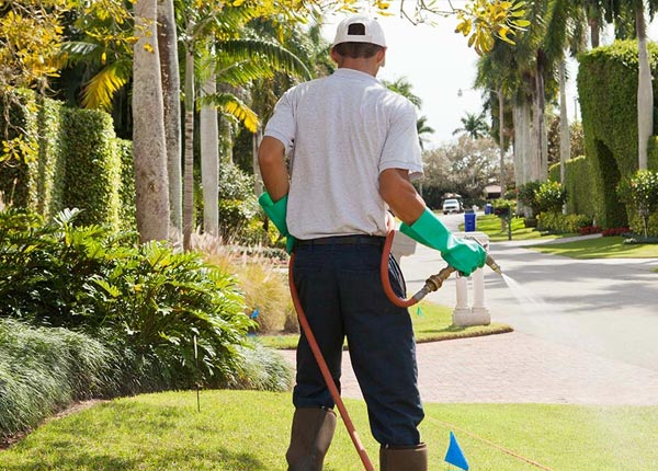 About Castella CA Pest Control